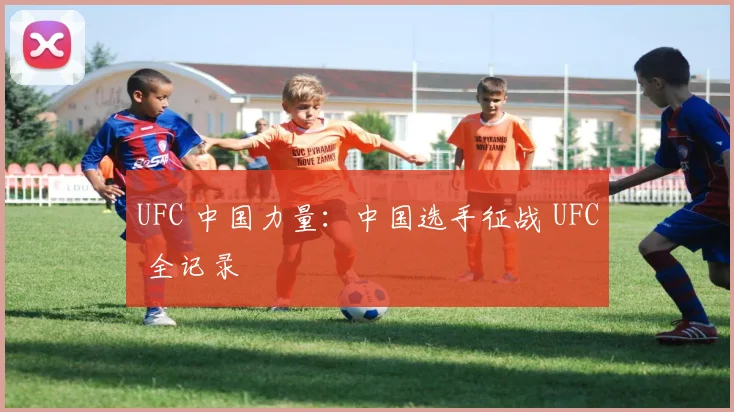 UFC 中国力量：中国选手征战 UFC 全记录