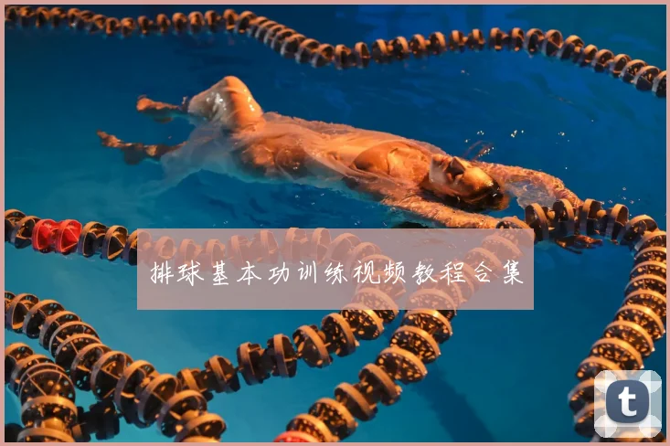 排球基本功训练视频教程合集