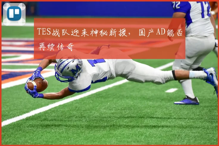 TES战队迎来神秘新援,国产AD能否再续传奇