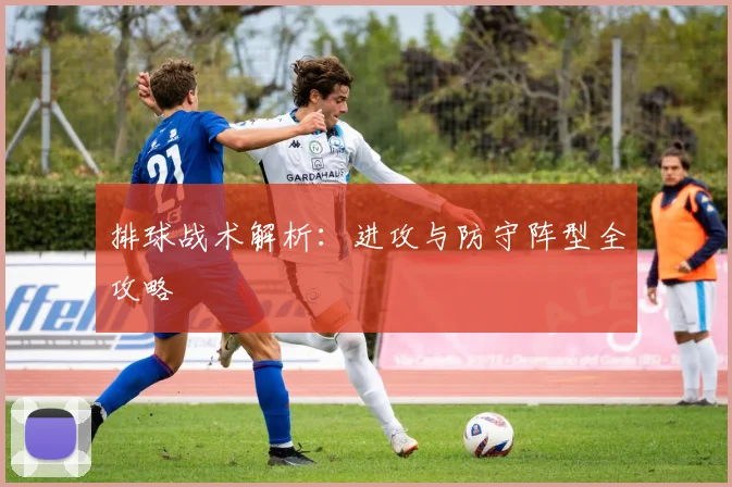 排球战术解析：进攻与防守阵型全攻略