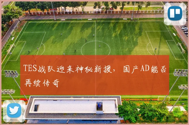 TES战队迎来神秘新援，国产AD能否再续传奇