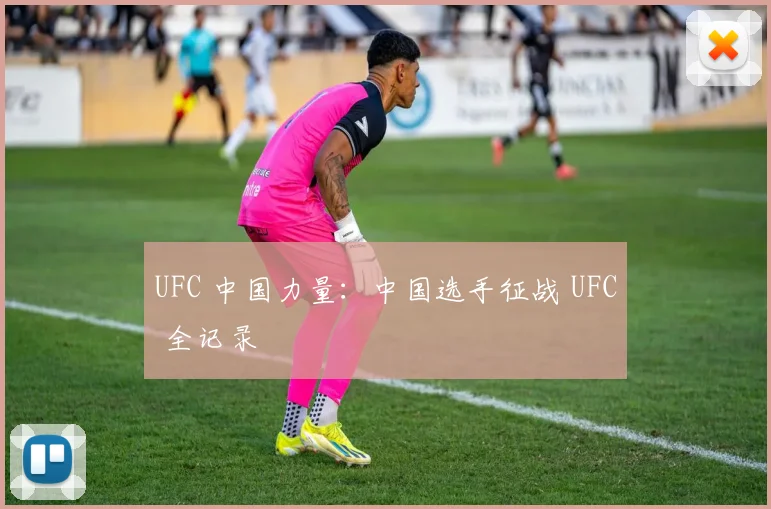 UFC 中国力量:中国选手征战 UFC 全记录